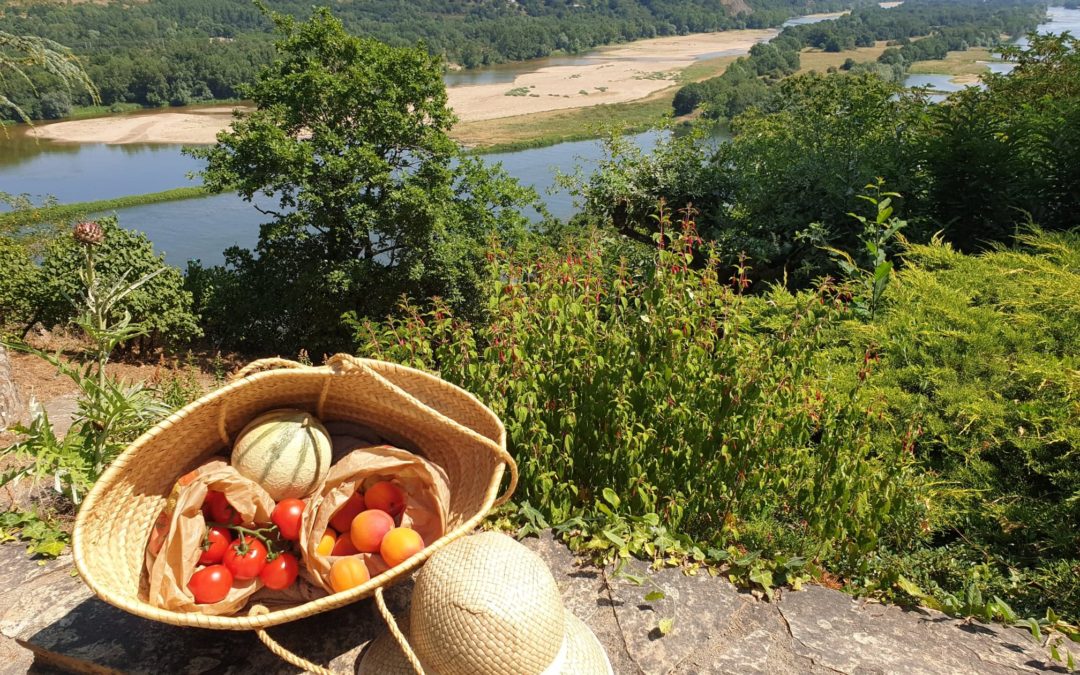 Croisières à destination du marché d’Ancenis